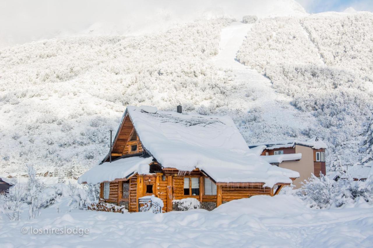 Los Nires Lodge Cerro Catedral سان كارلوس دي باريلوتشي الغرفة الصورة